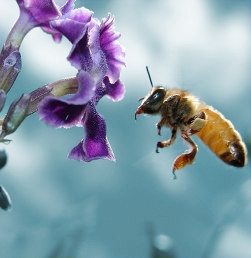 Met inbound marketing zet u de klant centraal. U biedt antwoorden en oplossingen en zorgt ervoor dat uw klant u kan vinden.