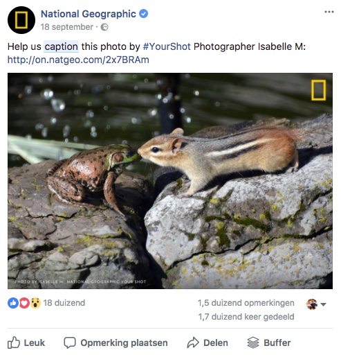 Facebook post idee 15 - Caption - Lincelot