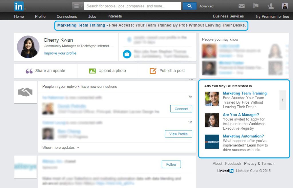 LinkedIn tekstadvertenties - LinkedIn ads - Lincelot