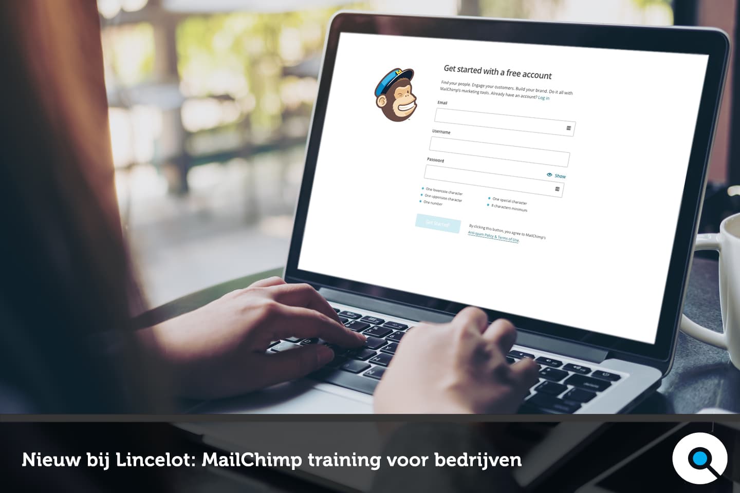 Nieuw bij Lincelot - MailChimp training voor bedrijven - Lincelot - FI