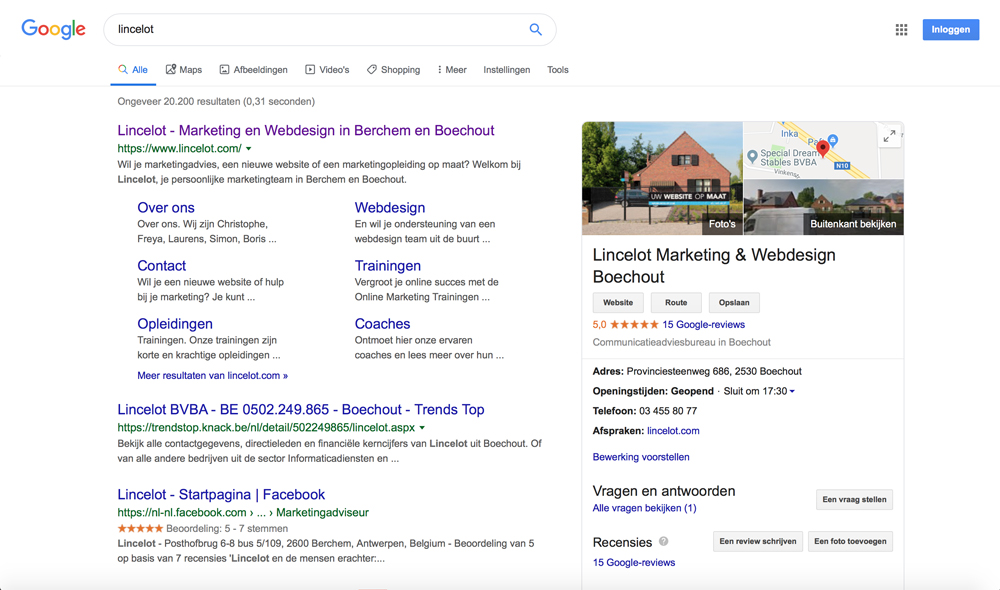Hoe verzamel je Google recensies voor je bedrijf - voorbeeld Google recensie - Lincelot
