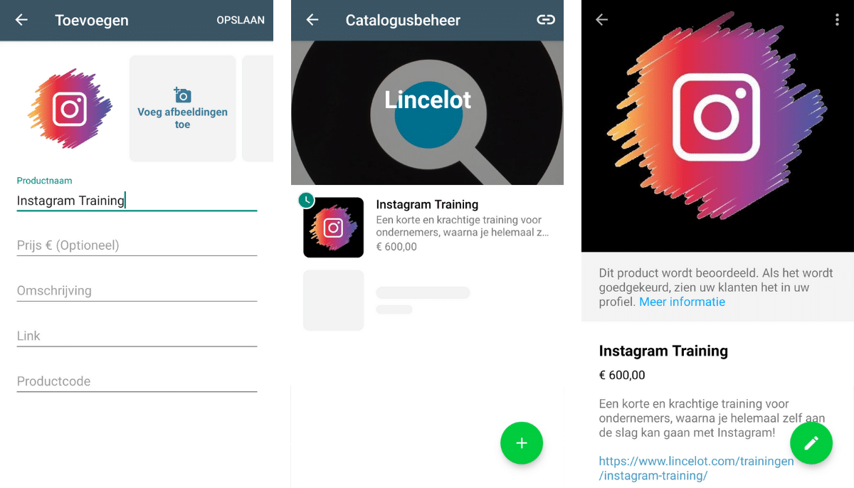 Blog Lincelot - WhatsApp Business