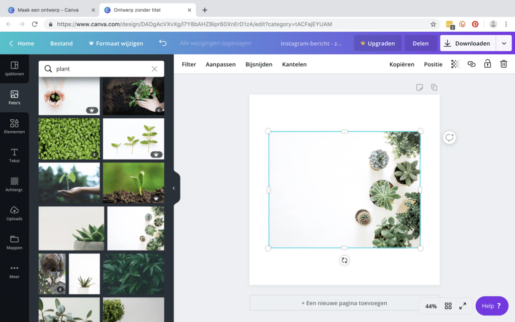 Afbeeldingen op Canva