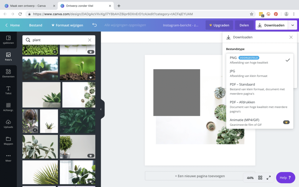 Afbeelding downloaden op Canva