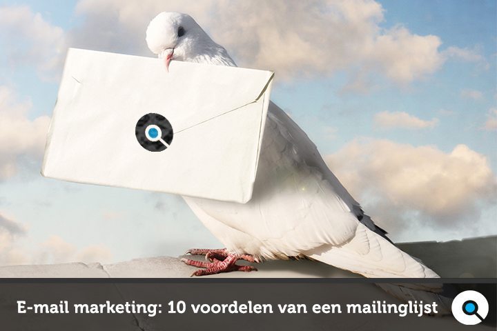 Duif draagt enveloppe met Lincelot mailinglijst