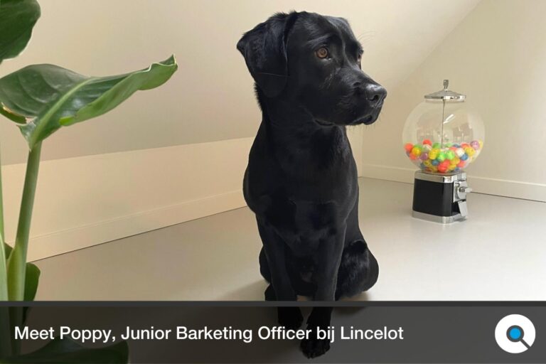 Lincelot - Blog - Meet Poppy, Junior Barketing Officer bij Lincelot