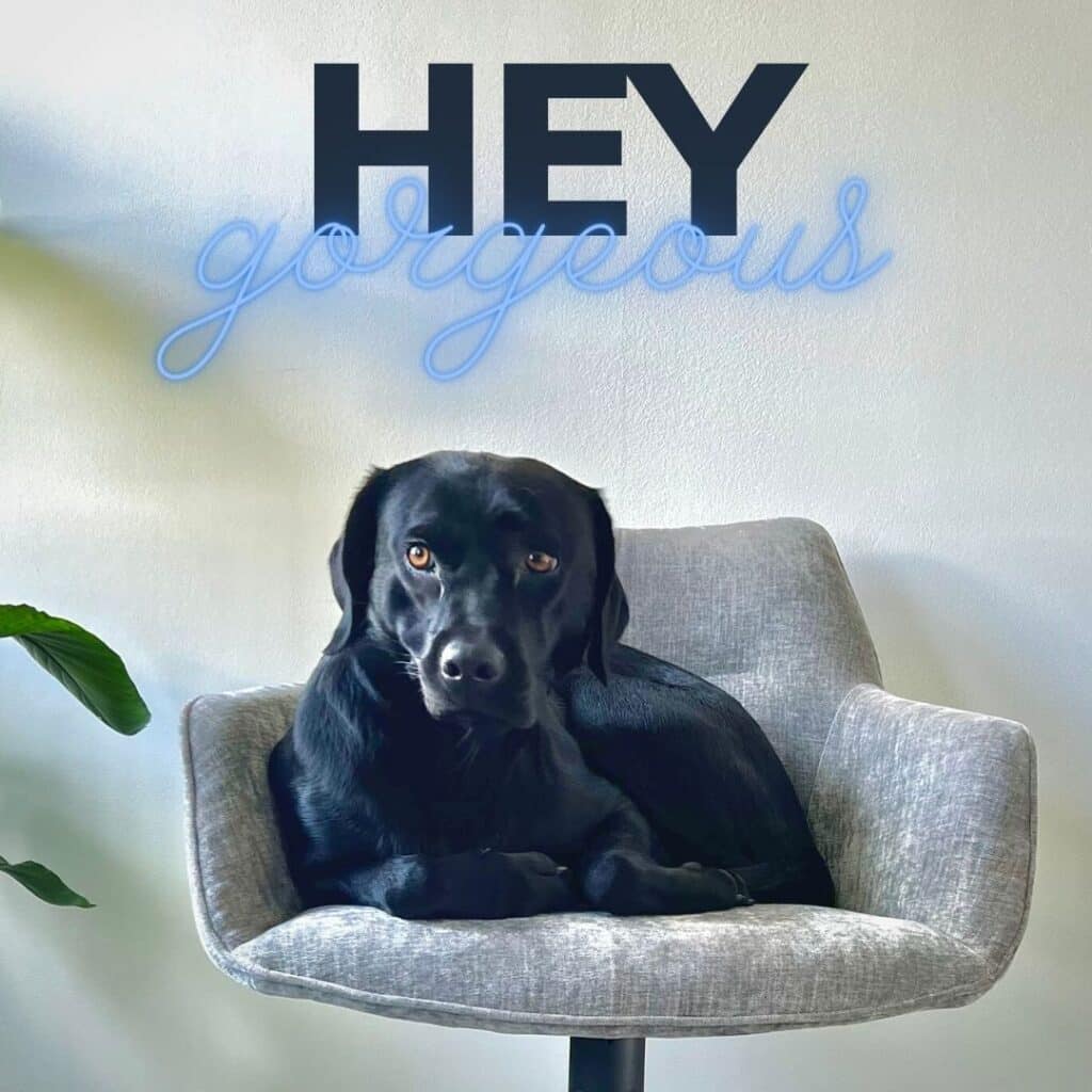 Vacature Creative Marketing Hero